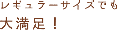 レギュラーサイズでも大満足