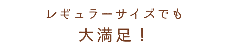 レギュラーサイズでも大満足